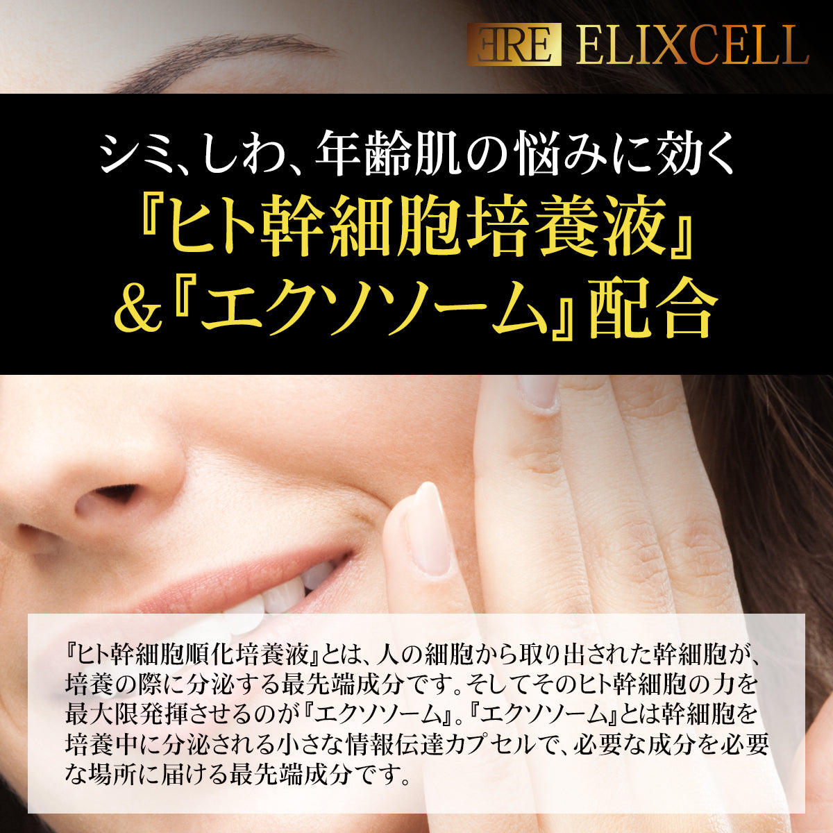 S】エリクセル リバイタローション 500ml
