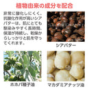 【F】LLE(業務用)ミネラルマッサージオイル(シアバター) 1000ml