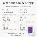 【リニューアル‼️】プロノビセア リバイタル炭酸ジェルマスク(10g×16包)