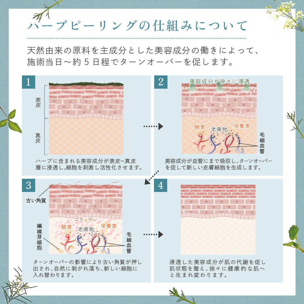 ハーブ導入 セット 研修あり】プロノビセア ハーブピーリング初期導入セット 🍃容器付き