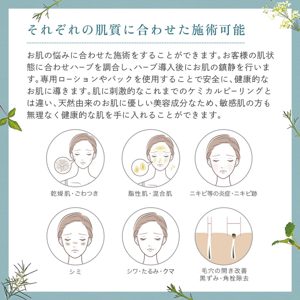 プロノビセア ハーブエンザイム300 単品(100g)【ハーブ